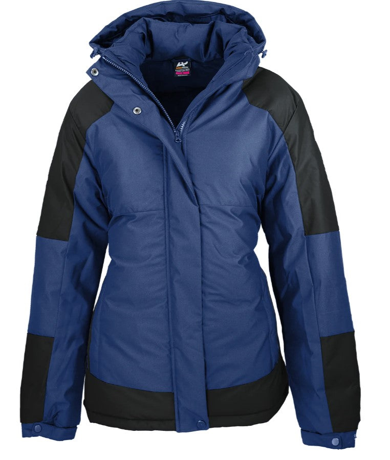 AP KINGSTON LADY JACKET - 2517